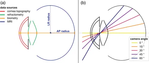Schematic representation of the eye model used for optical raytracing simulations, combining optical and geometrical data from multiple sources.