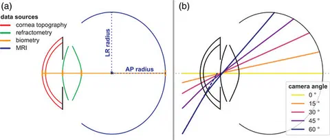 Schematic representation of the eye model used for optical raytracing simulations, combining optical and geometrical data from multiple sources.