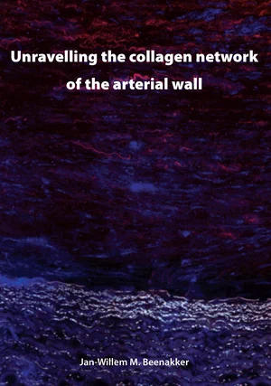 Unravelling the collagen network of the arterial wall